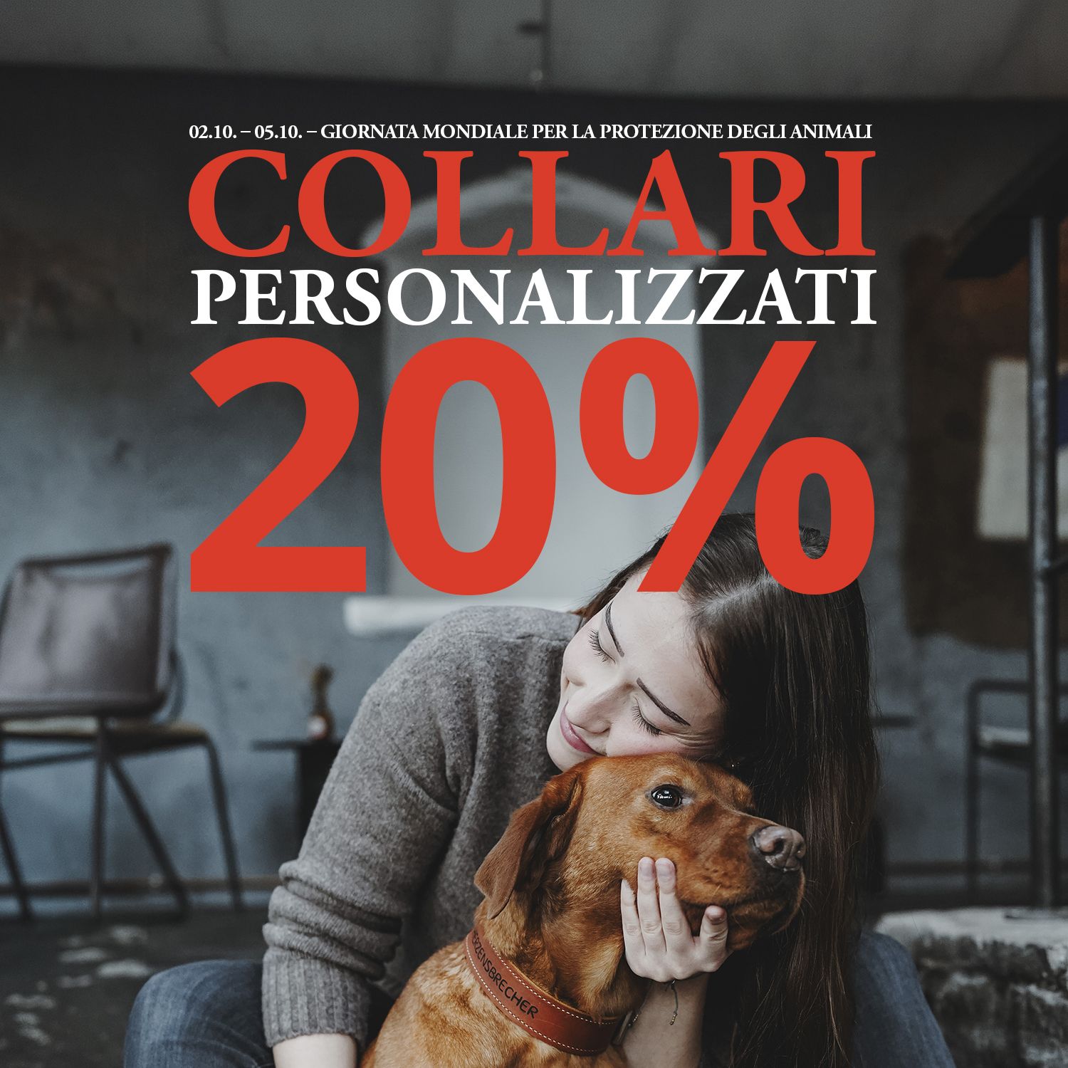 In una stanza, una donna abbraccia un cane marrone; sopra di loro è visualizzato un testo che pubblicizza uno sconto del 20% sui collari personalizzati.
