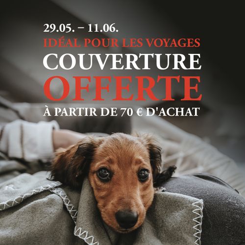 Visuel promotionnel avec texte rouge et blanc : « 29/05 – 11/06 IDÉAL POUR LES VOYAGES COUVERTURE OFFERTE À PARTIR DE 70 € D’ACHAT » Sous le texte, un teckel est allongé, blotti dans une couverture.