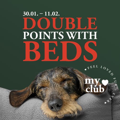 A dog sleeps on a sofa with the text ‘Double points with beds’ and ‘feel loved fur-ever’ in a heart shape.