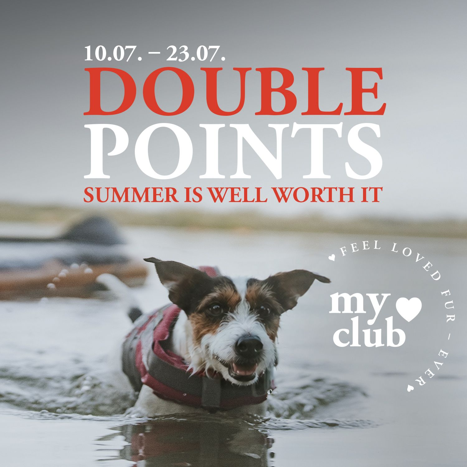 A dog swimming in a lake, wearing a red life jacket, with an advert above it promoting the collection of double points.