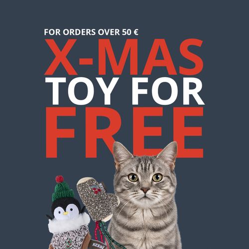 Gray tabby cat with holiday toys (penguin and mitten) in front of dark backdrop reading X-MAS TOY FOR FREE