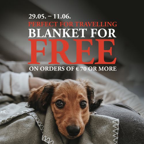 Campaign image with red and white text: “29.05. – 11.06. PERFECT FOR TRAVELLING BLANKET FOR FREE ON ORDERS OF €70 OR MORE” Below the text, a dachshund is lying snuggled up in a blanket.