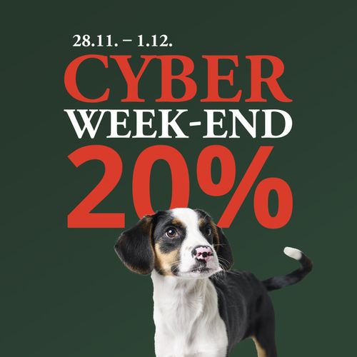 Chiot tricolore sur fond vert avec texte rouge bien visible « CYBER WEEKEND 20 % » et les dates « 28.11.–1.12. »