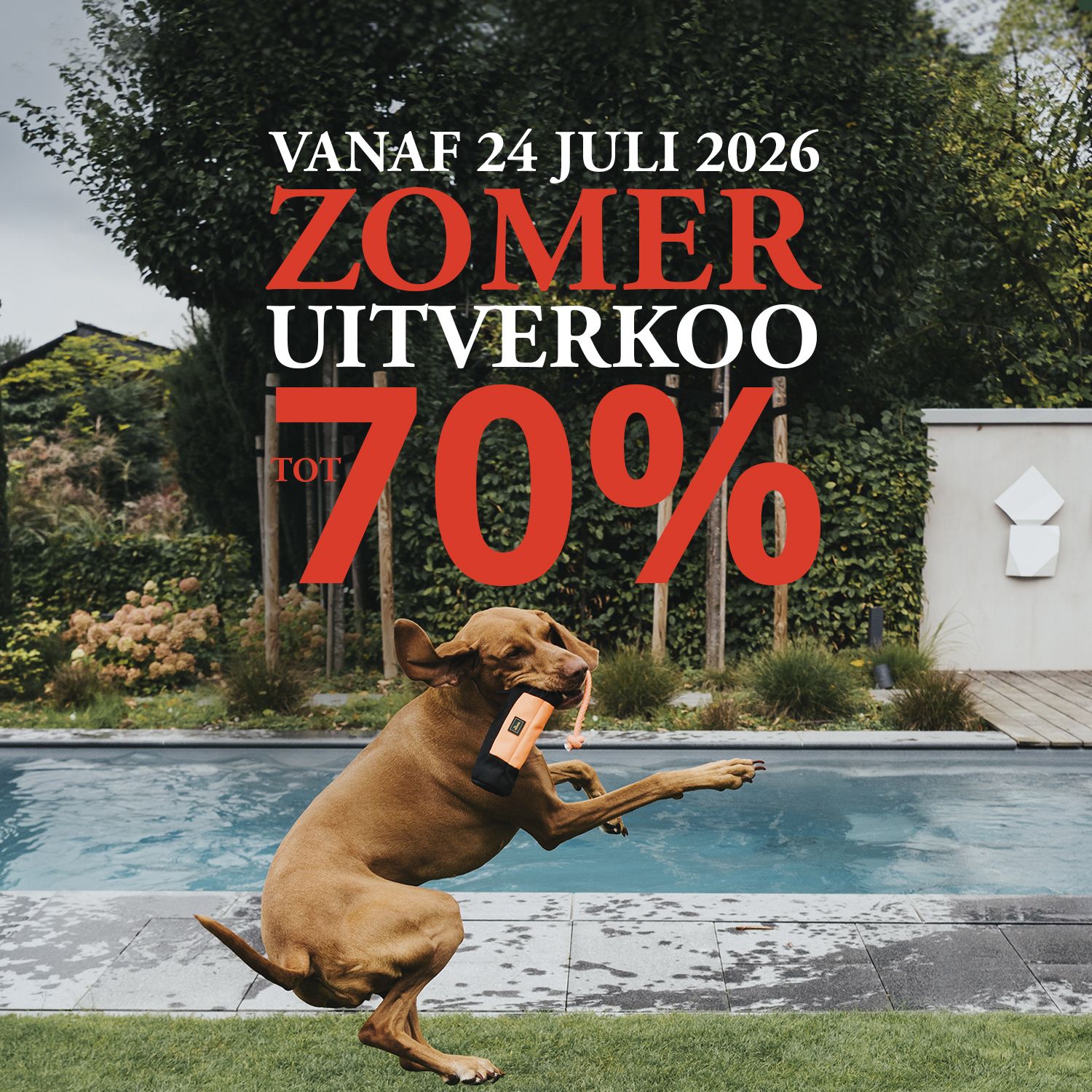 Speelse hond bij een zwembad met de tekst „Zomeruitverkoop tot 70%”, vanaf 24 juli 2026, in een kleurrijke tuinomgeving.