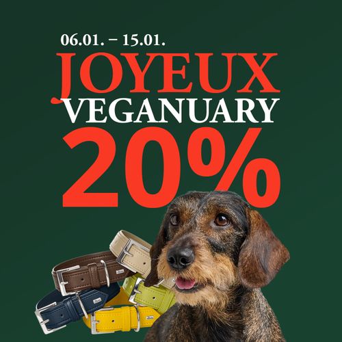 Chien avec des colliers colorés, texte « Joyeux Veganuary 20 % » avec les dates « 06.01 – 15.01 » sur fond vert foncé.