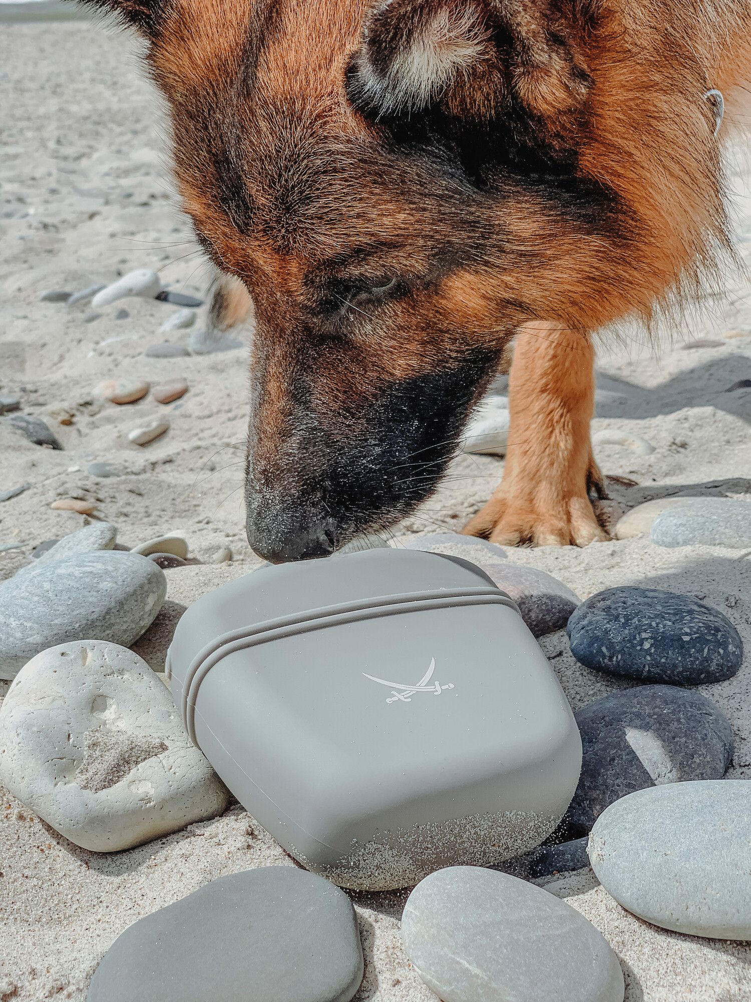Ein Deutscher Schäferhund schnüffelt an einem Snackbeutel mit einem Sansibar-Logo, der an einem Sandstrand von Kieselsteinen umgeben ist.