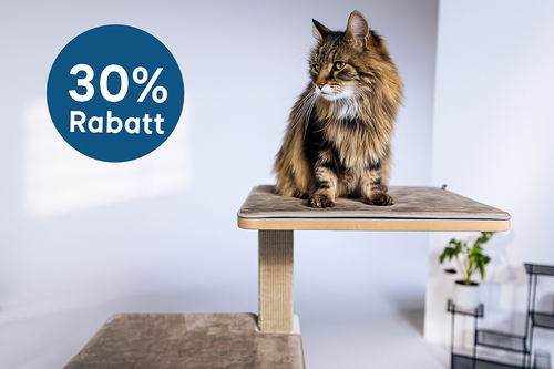 Langhaarige Katze sitzt auf einer gepolsterten Plattform eines modernen Kratzbaums; links im Bild ein blaues Rundsymbol mit der Aufschrift „30 % Rabatt“.