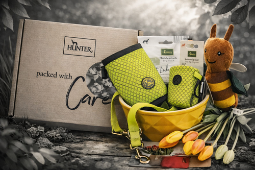 Pet care package with green accessories, a yellow bowl, bee plush toy, tulips, and a "packed with care" box from Hunter brand.