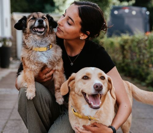 Eine Person lächelt, während sie einen kleinen Hund im Arm hält, neben ihr steht ein weiterer Hund, beide tragen gelbe Halsbänder, draußen an einem sonnigen Tag.