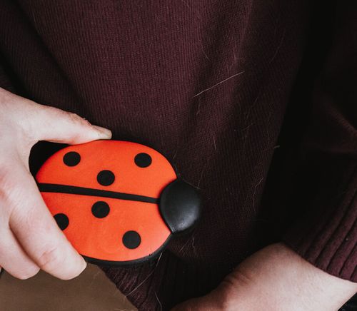 Person, die eine rot-schwarze Bürste in Form eines Marienkäfers an einen dunklen Pullover hält.