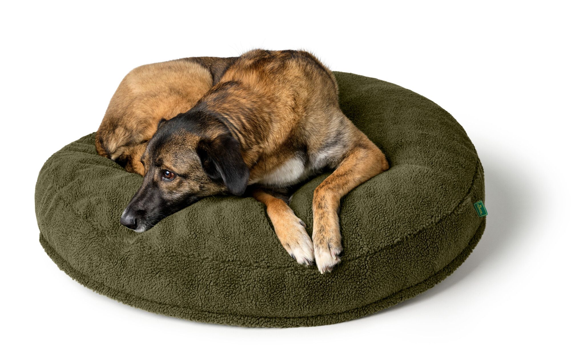 Ein braun-schwarzer Hund liegt auf einem runden, grünen Plüsch-Hundebett und sieht entspannt und zufrieden aus.
