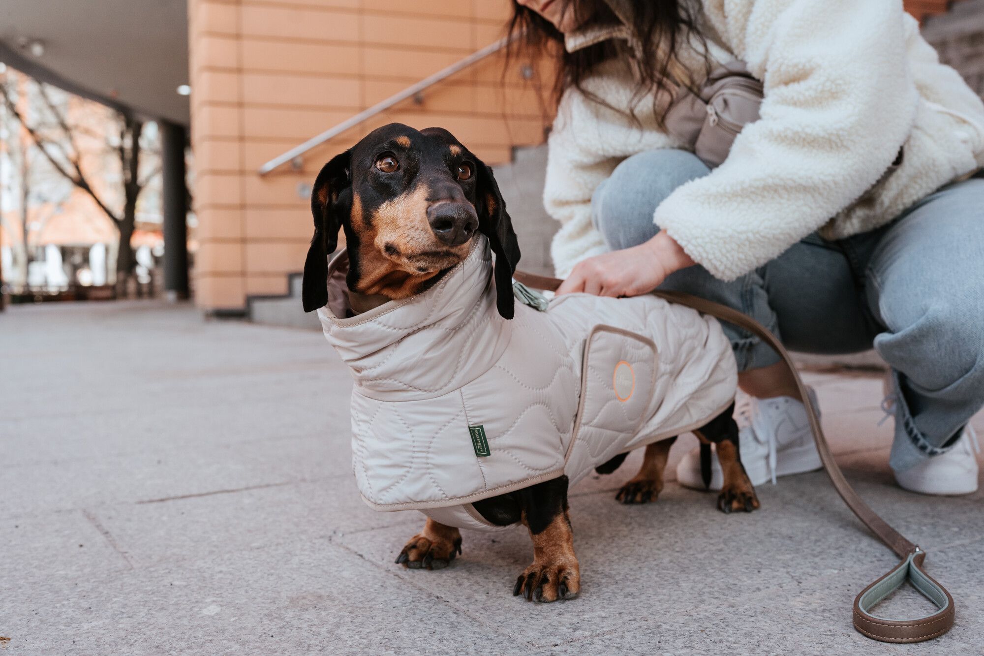 Ein Dackel, der eine helle, gesteppte Jacke trägt, steht auf einem Bürgersteig, während eine Person in der Nähe hockt und die Leine hält.