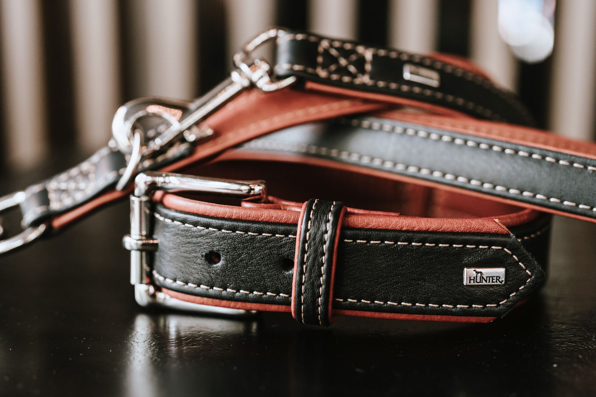 Nahaufnahme eines stilvollen Hundehalsbands aus Leder mit Metallschnalle und Leine, das sich durch ein kontrastreiches Design in Schwarz und Cognac auf dunklem Hintergrund auszeichnet.