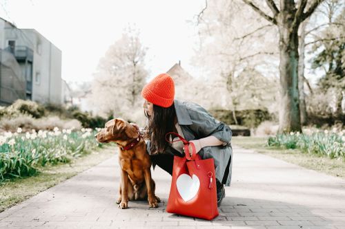 Eine Frau mit einer roten Mütze kniet neben einem braunen Hund auf einem Parkweg und hält eine rote Tasche mit einem Herz in der Hand. Um sie herum stehen Bäume und blühen Blumen.