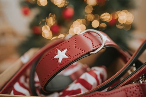https://a.storyblok.com/f/233914/2000x1333/2acbde8f8d/tw-weihnachten_-hero.jpg
