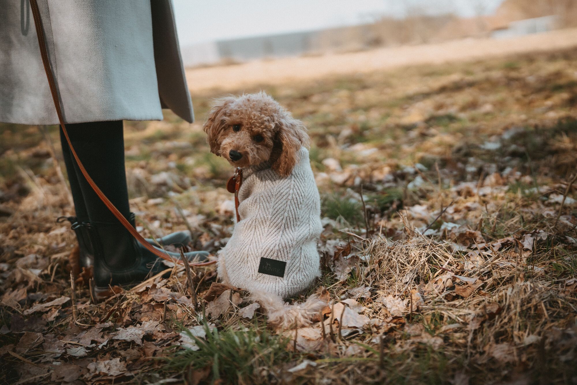 Ein kleiner Hund in einem hellen Pullover sitzt auf einem mit Blättern bedeckten Boden neben einer Person in Mantel und Stiefeln, die eine Leine hält.