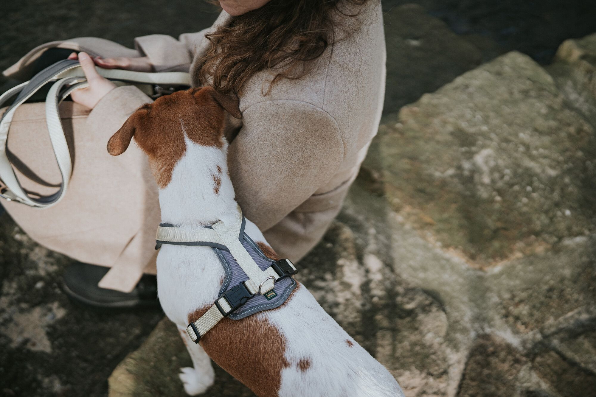 Eine Person, die in einem leichten Mantel auf einem Felsen sitzt, während ein kleiner braun-weißer Hund mit einem Geschirr an ihrem Mantel schnüffelt.