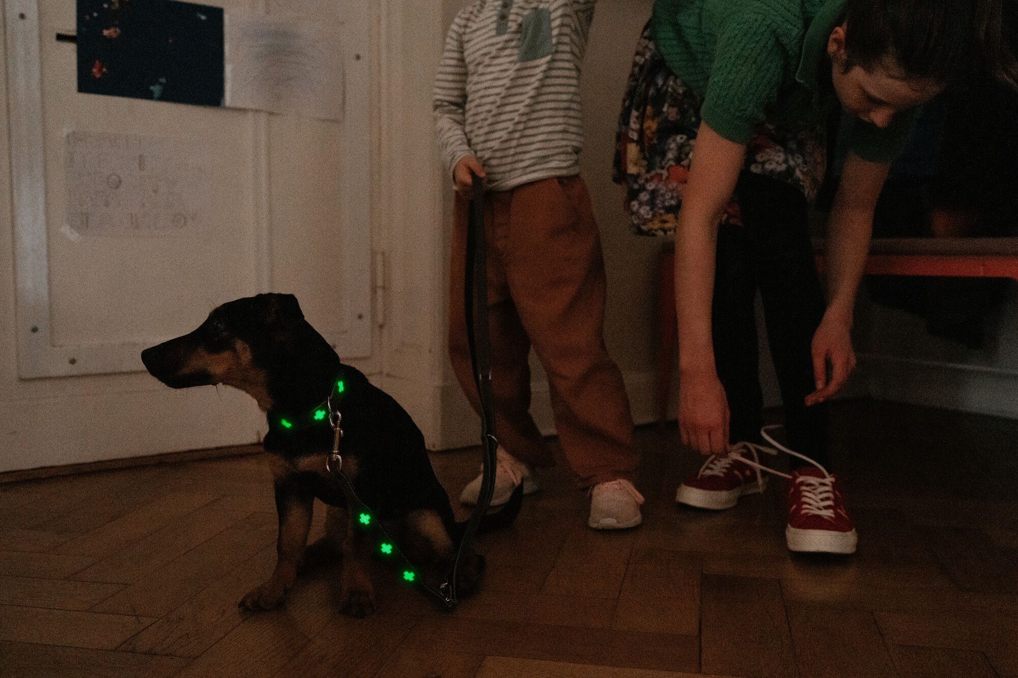 Ein kleiner Hund mit einem leuchtendem Halsband sitzt drinnen neben einem Kind, das seine Leine hält, und einem Erwachsenen, der sich rote Turnschuhe zubindet.