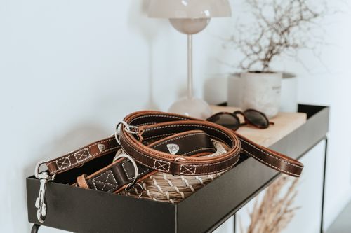 Eine dunkelbraune Lederleine liegt auf einem Sideboard. Der Hintergrund ist hell. Auf dem Sideboard liegen zudem ein Lederhalsband, eine Sonnenbrille, Pflanzen und eine Lampe.