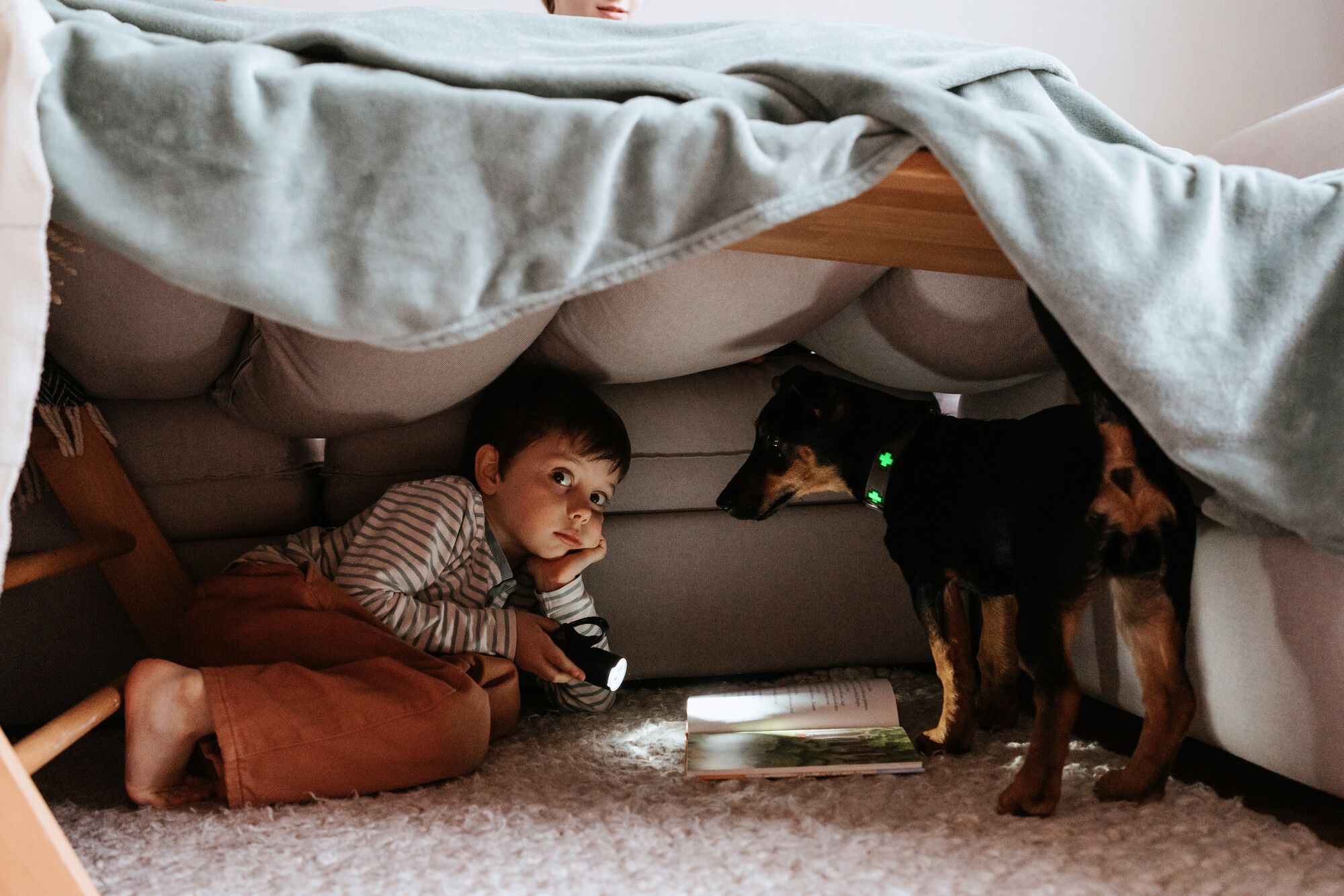 A child with a flashlight and a small dog in a makeshift fort made of blankets and furniture, with an open book on the floor.