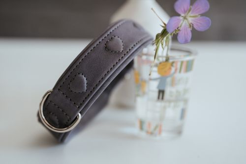 Lila Hundehalsband mit Herzmuster und Metallring, daneben ein kleines Glas mit Wasser und einer lila Blume.
