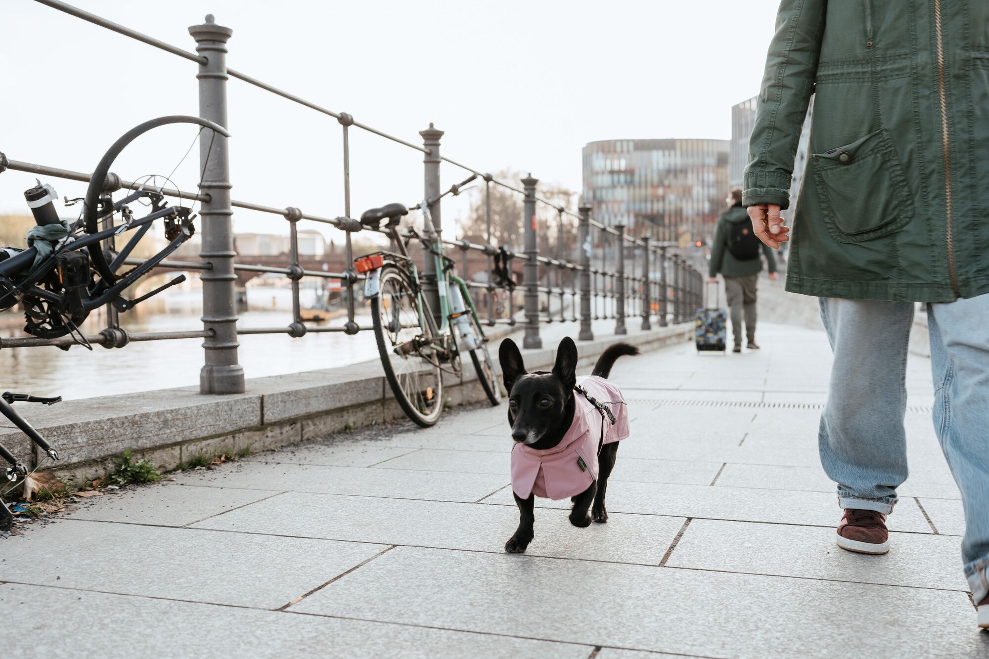 A small black dog in a pink coat walks on a tiled riverside path beside a person in jeans and a green coat, with bikes parked along the railing.