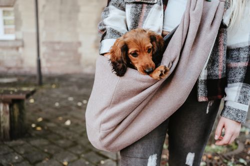 A small dog peeks out from a beige sling bag worn by a person in a plaid jacket standing on a cobblestone path.