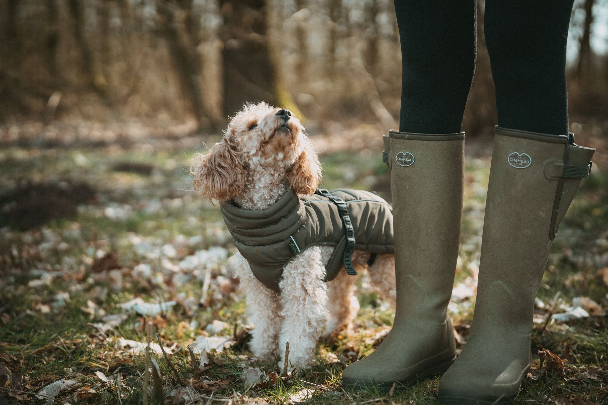 A small curly-haired dog wearing a green jacket looks up at a person in rubber boots, standing in a forest with fallen leaves on the ground.