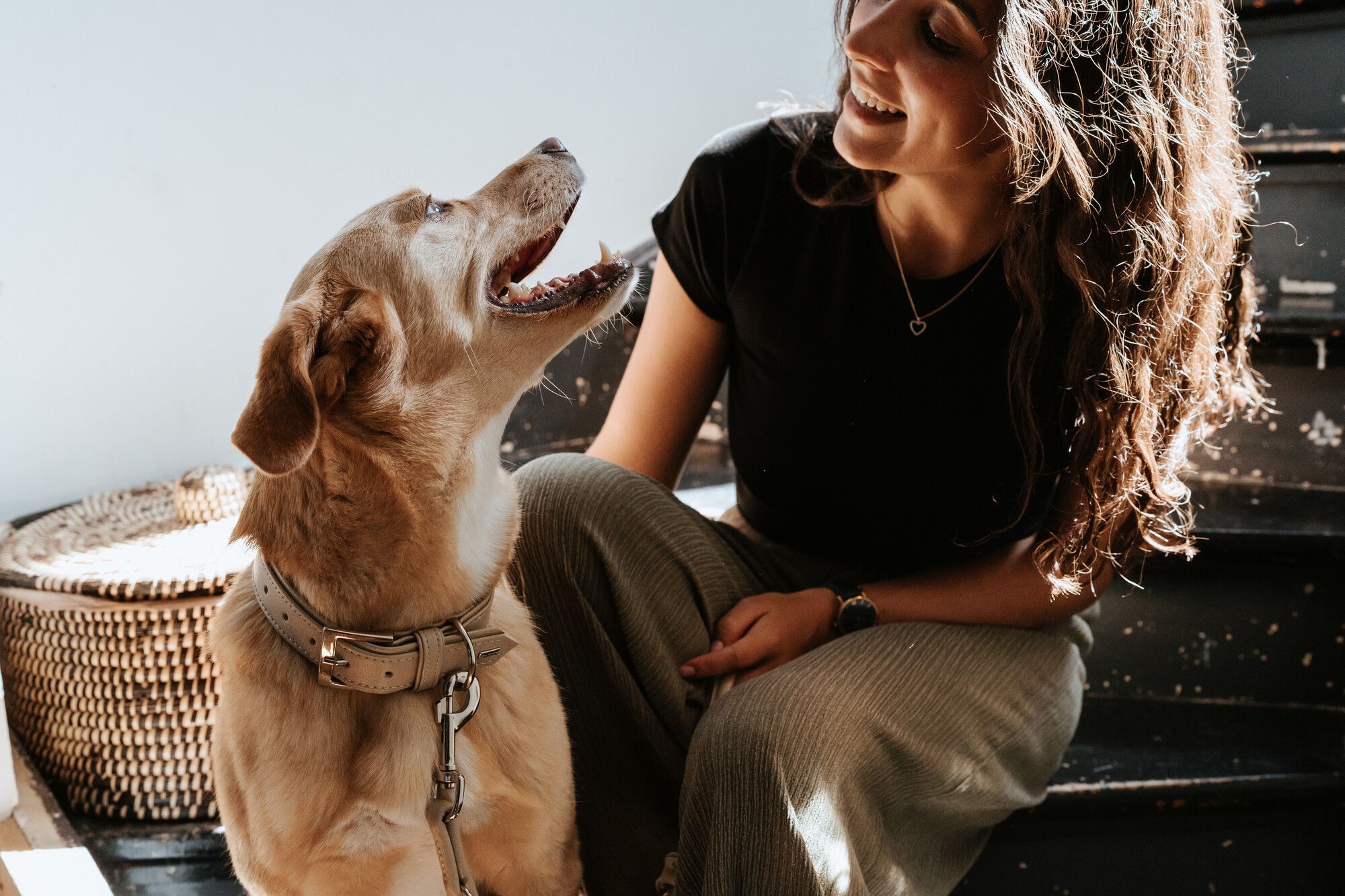 Eine Frau mit langen, lockigen Haaren lächelt einen hellbraunen Hund mit Halsband an; beide sitzen im Sonnenlicht auf einer dunklen Treppe.