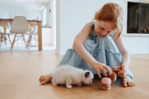 Ein kleines Mädchen in einem blauen Kleid spielt auf dem Boden und stapelt Filz-Macarons und andere Backwaren neben einem flauschigen weißen Kätzchen in einem hellen Wohnzimmer.