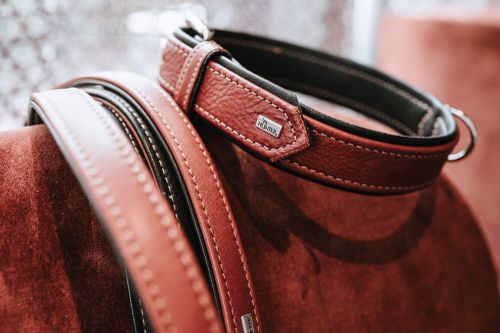 Close-up of stylish leather dog collars with metal tags, displayed on a soft brown surface.
