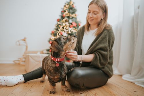 Frau sitzt auf dem Boden mit einem kleinen Hund, der ein rotes Halsband trägt. Im Hintergrund stehen ein geschmückter Weihnachtsbaum und Geschenke.