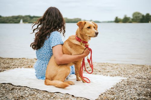An einem bewölkten Tag sitzt ein Mädchen in einem blauen Kleid auf einer Decke am Seeufer und streichelt einen braunen Hund, der ein Halsband in koralle trägt.