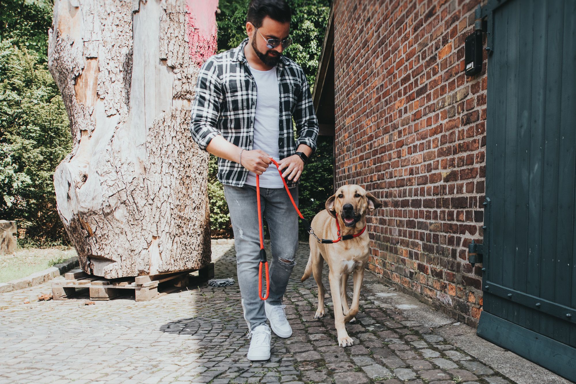 Ein Mann in einem karierten Hemd und mit Sonnenbrille führt einen Hund an der Leine auf einem Kopfsteinpflasterweg neben einem Backsteingebäude spazieren.