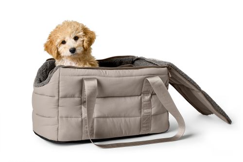 Flauschiger Cremefarbener Welpe, der aus einer beigen, gepolsterten Haustiertragetasche mit offenem Deckel auf weißem Hintergrund herausschaut.