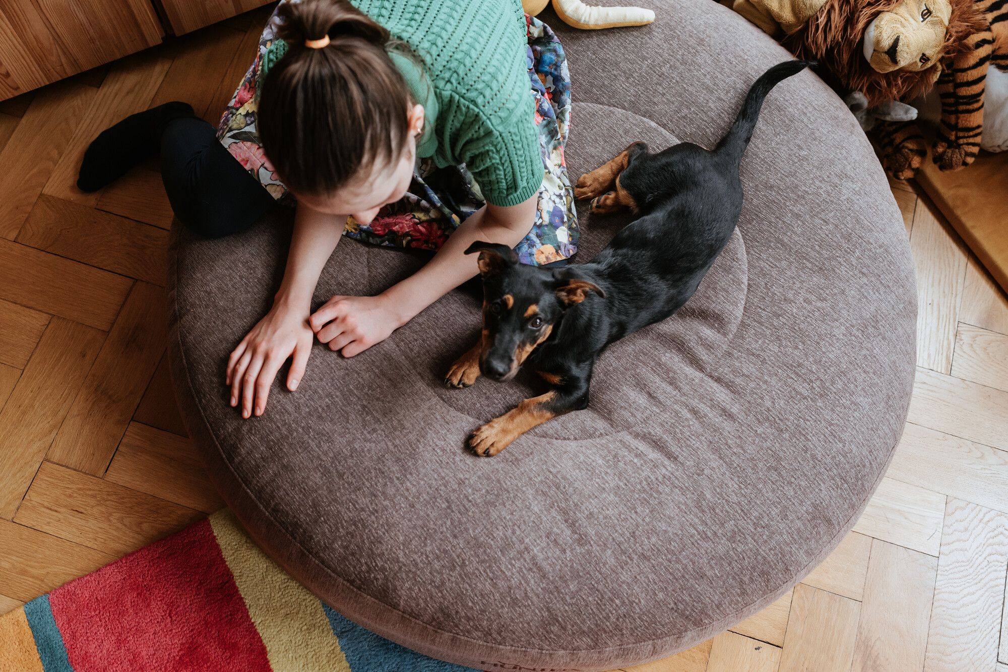 Eine Frau in einem grünen Pullover sitzt auf einem runden Hundebett, neben ihr ein kleiner schwarz-brauner Hund, auf einem Holzboden mit bunten Teppichakzenten.