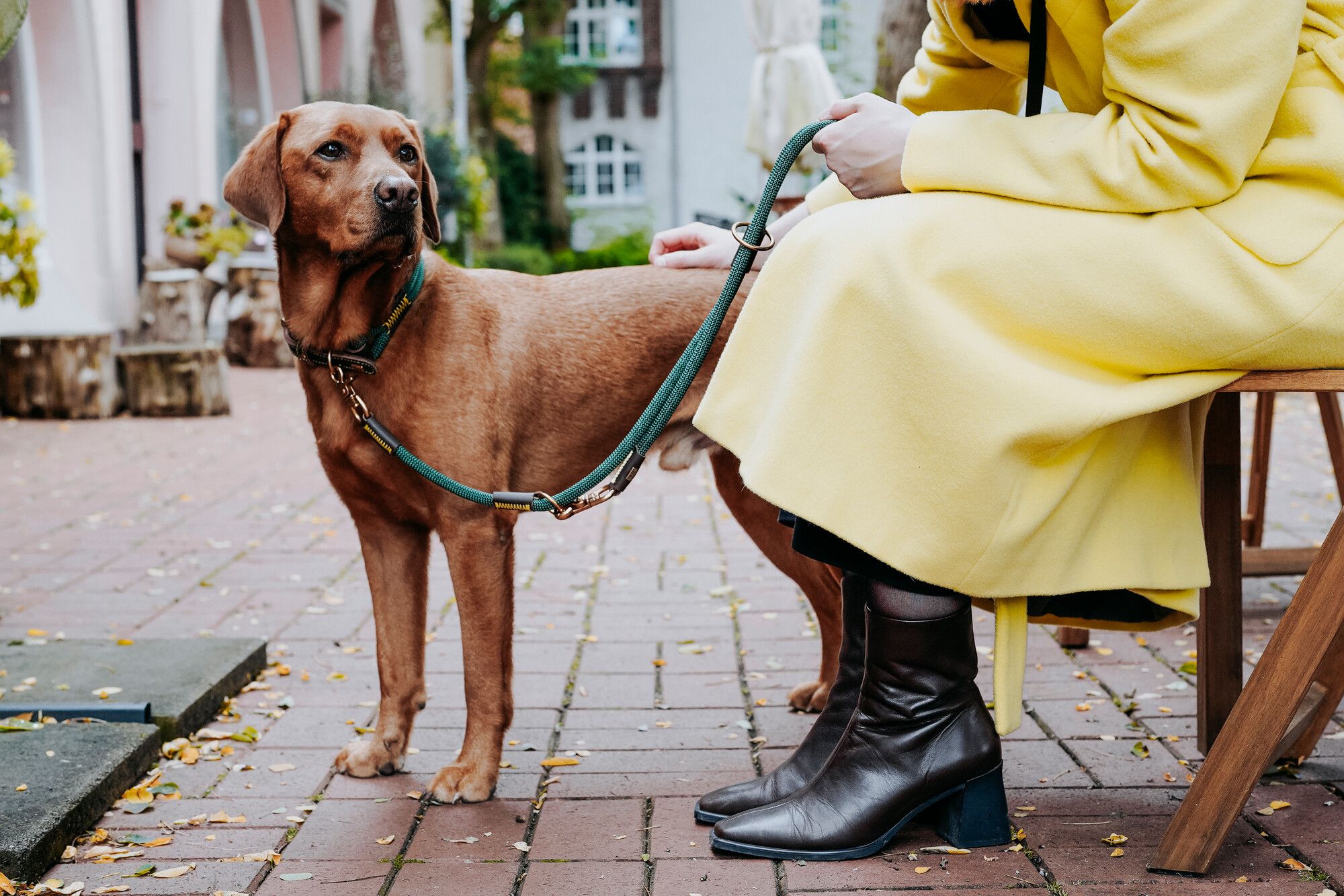 Eine Person in einem gelben Mantel sitzt auf einer Bank und hält die Leine eines braunen Hundes auf einem gepflasterten Weg. Der Hund steht aufmerksam daneben.