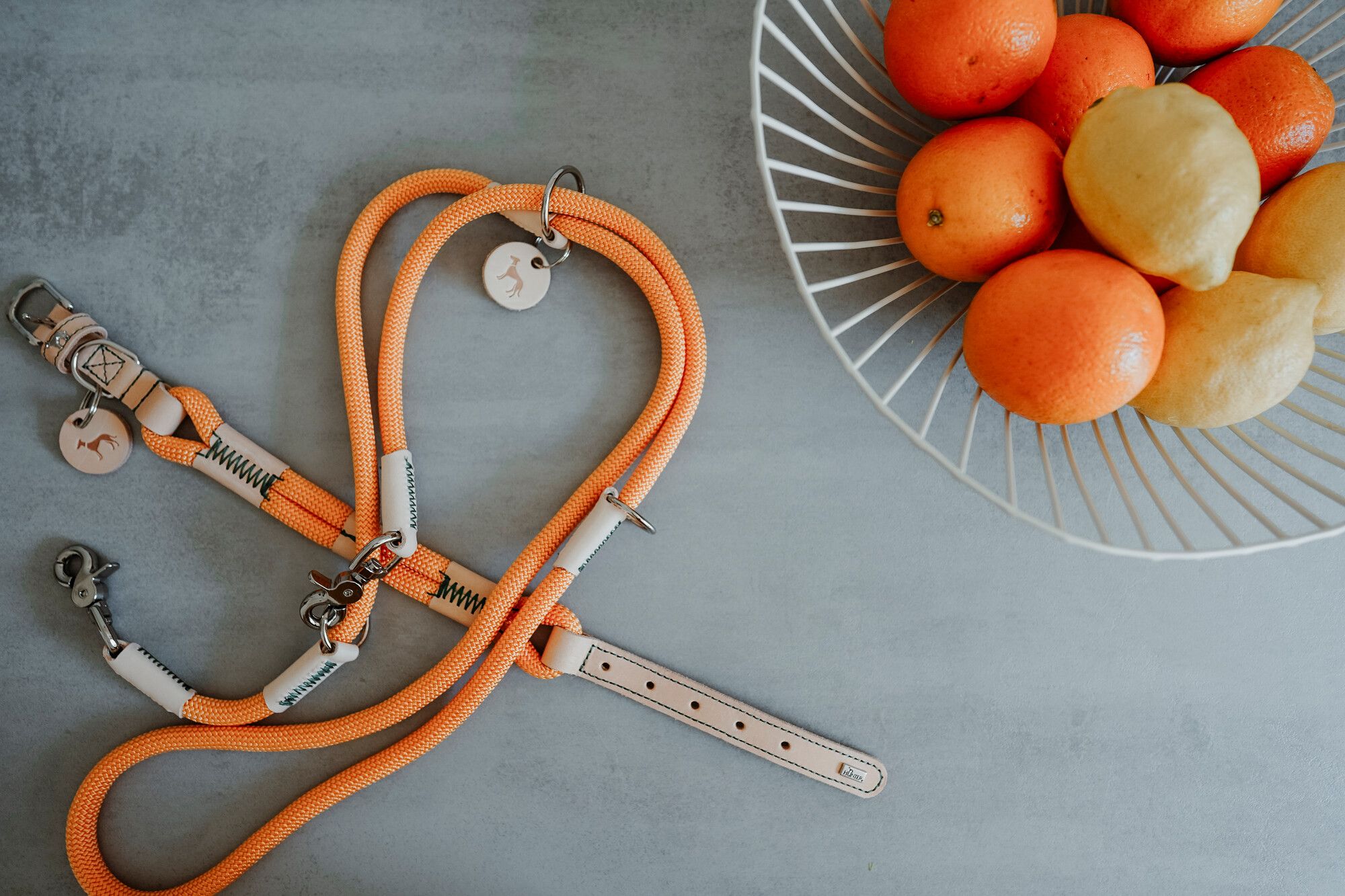 Eine orangefarbene Hundeleine auf einem grauen Untergrund neben einem Drahtkorb, gefüllt mit Orangen und Zitronen.