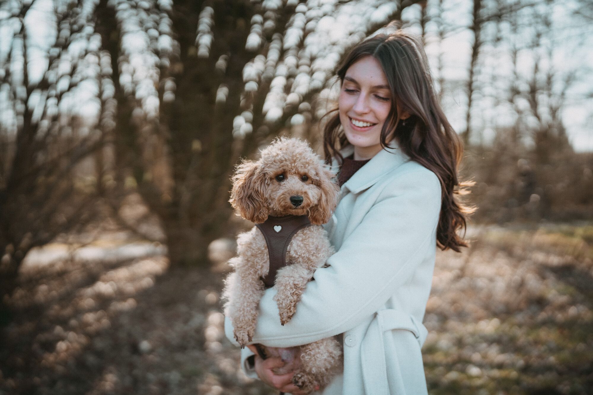 Eine Frau in einem hellen Mantel hält lächelnd einen flauschigen braunen Pudel im Arm, im Hintergrund sind verschwommene Bäume zu sehen. Der Hund trägt ein Geschirr.