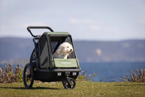 Ein kleiner weißer Hund sitzt in einem grünen Haustieranhänger, der auf einer Wiese am Meer geparkt ist, mit Bergen im Hintergrund.