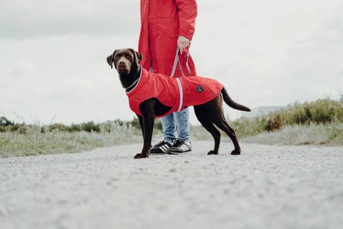 Ein brauner Hund in einem roten Mantel steht auf einem Kiesweg neben einer Person, die einen passenden Mantel und Jeans trägt, vor dem Hintergrund eines bewölkten Himmels.