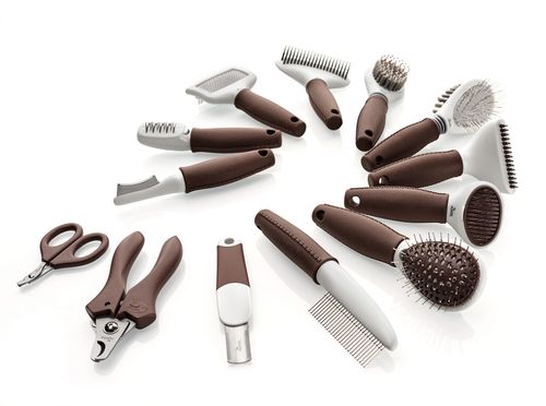 Verschiedene Hundebürsten, Kämme und Scheren liegen zusammen auf einen weißen Hintergrund.