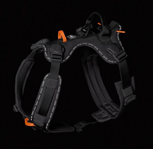 Geschirr in der Seitenansicht in schwarz mit orangenen Higlights.