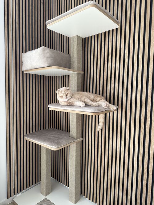 German cat outlet furniture