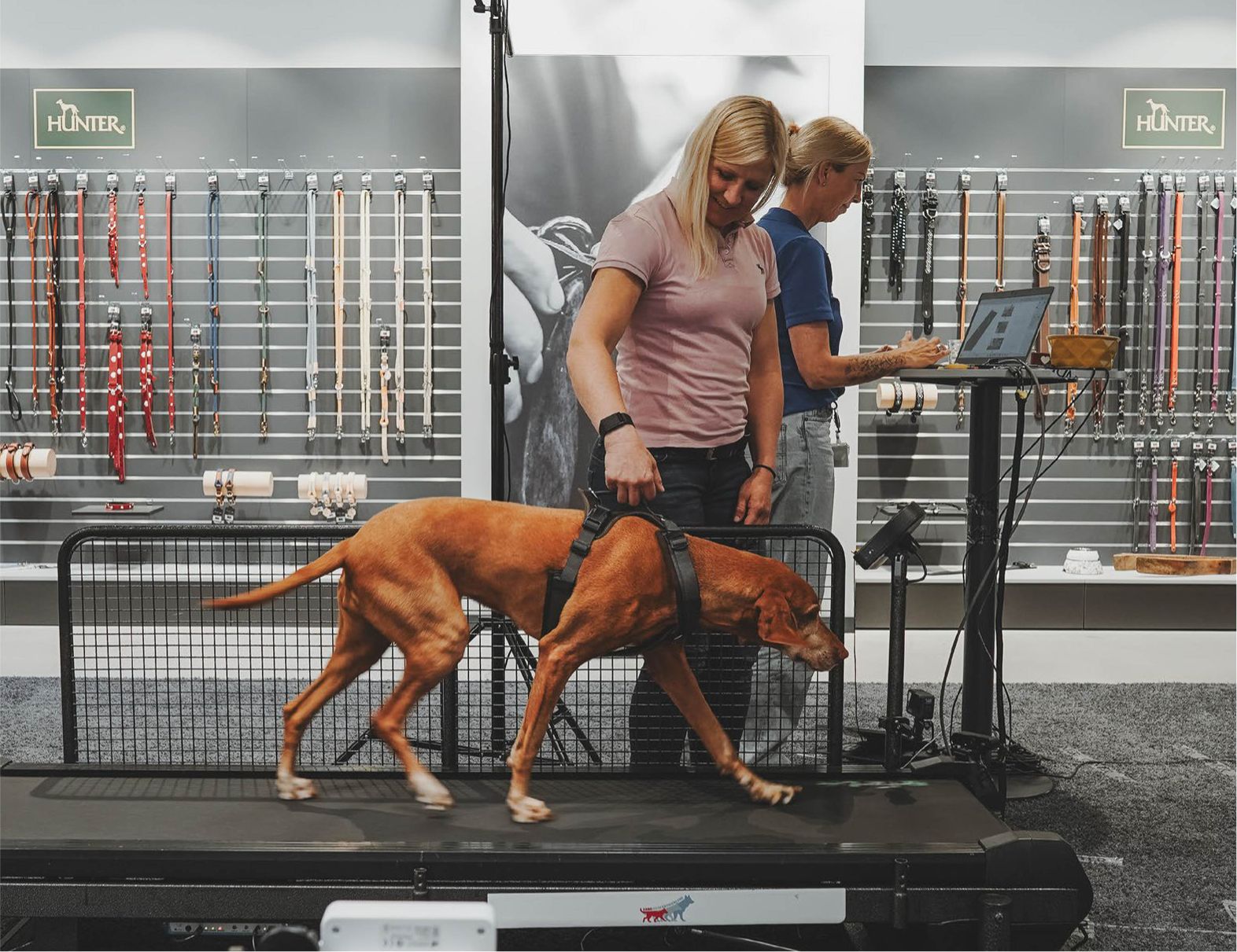 Eine Frau führt einen Hund auf einem Laufband, während eine andere Frau Daten auf einem Laptop betrachtet, in einem Geschäft mit verschiedenen Hundeleinen an der Wand.
