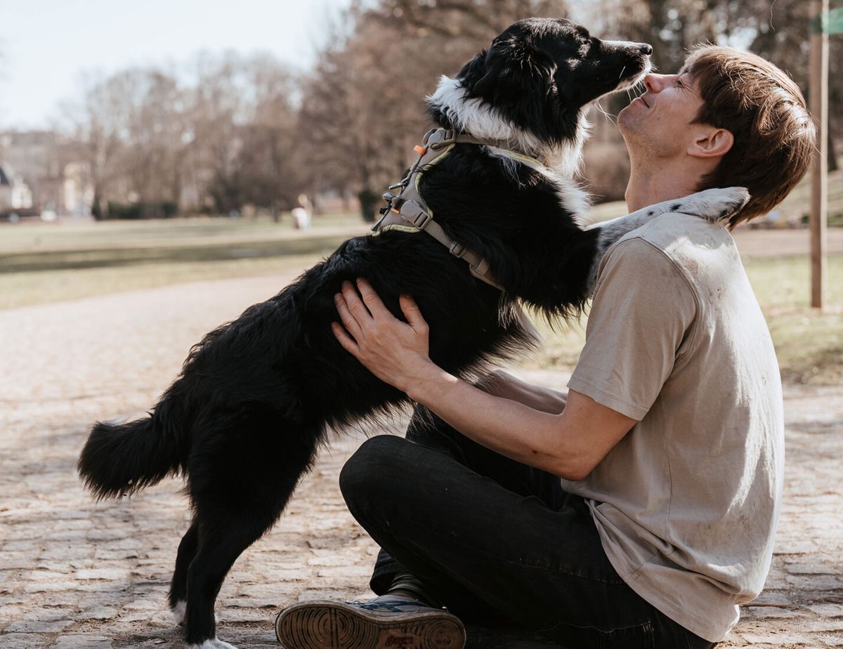 Ein Mann sitzt auf einem Weg und umarmt liebevoll einen schwarz-weißen Hund, der ihm im Park das Gesicht leckt.