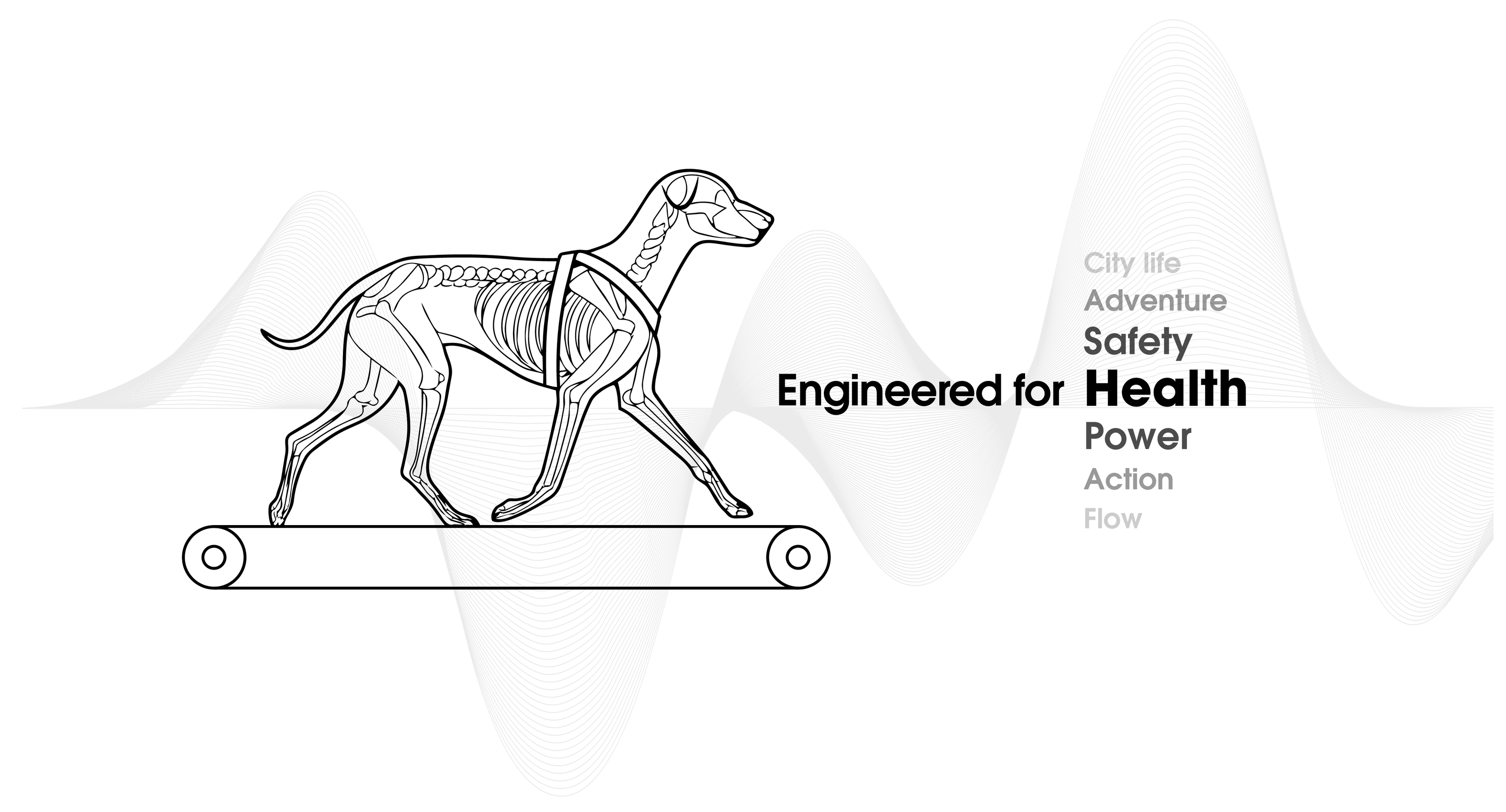 Eine Grafik mit einem Hund auf dem Laufband. Daneben der Text Engineered for Health, Safety, Adventure, City life, Power, Action, Flow