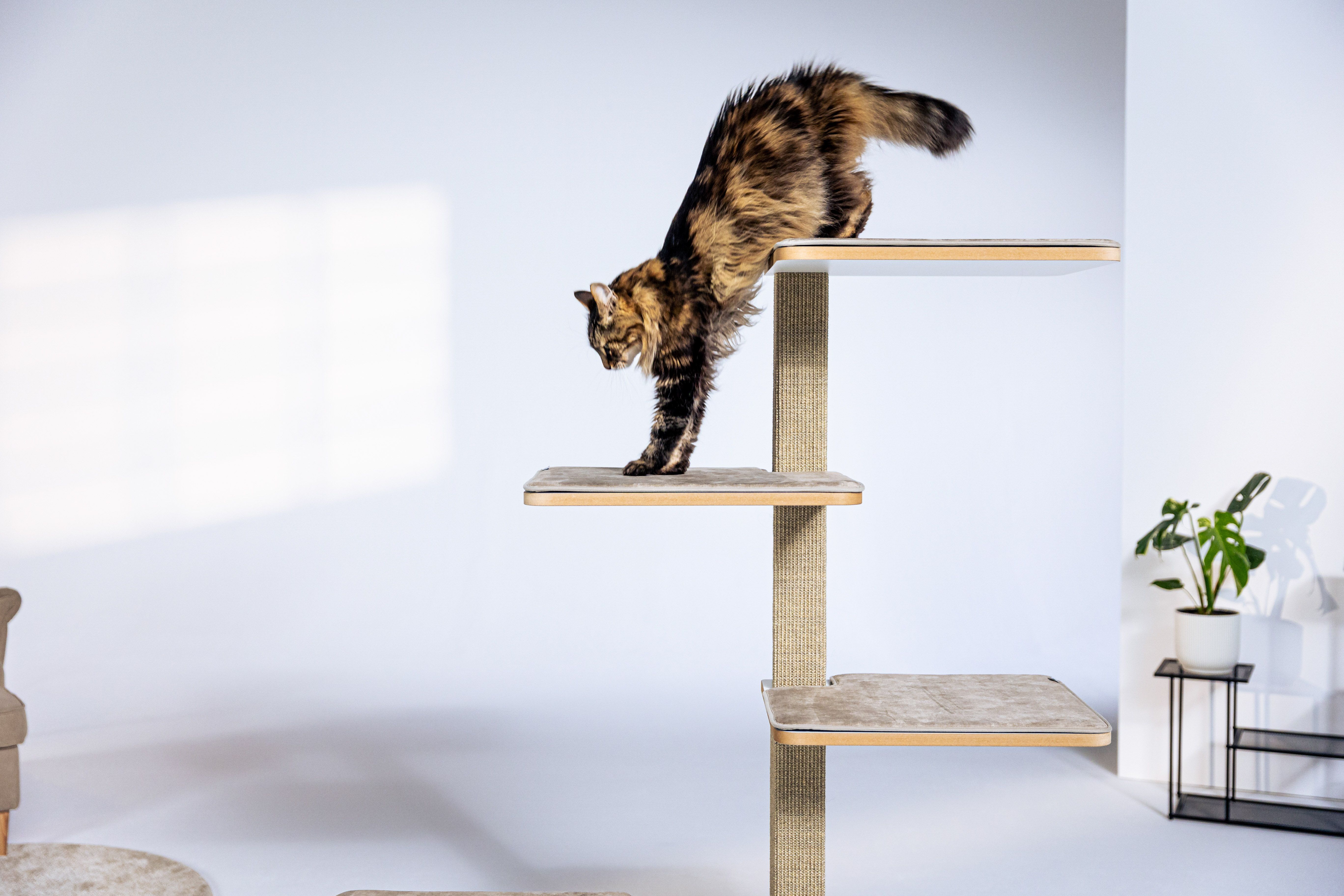 Eine flauschige Katze streckt sich auf einem hohen Kratzbaum mit drei Plattformen, der in einem hellen Raum mit minimalistischer Einrichtung und einer kleinen Pflanze steht.