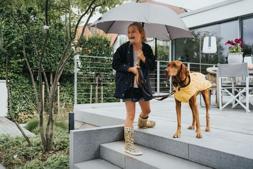 https://a.storyblok.com/f/233914/6000x4000/f92b80d546/hunde-kategorie-hundebekleidung.jpg