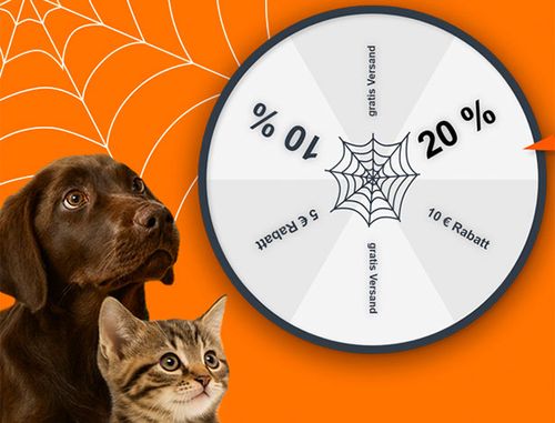 Ein Hund und eine Katze betrachten ein sich drehendes Rabattrad mit Optionen wie „20 %“, „10 %“, „Gratis Versand“, „5 € Rabatt“ und „10 € Rabatt“ auf orangefarbenem Hintergrund.